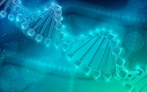 Генетическая экспертиза для получения израильского гражданства